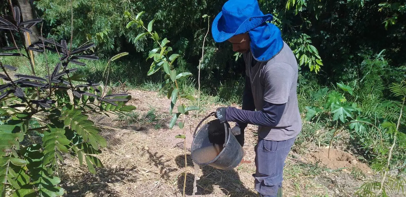Equipe técnica realizando irrigação de muda recém plantada
